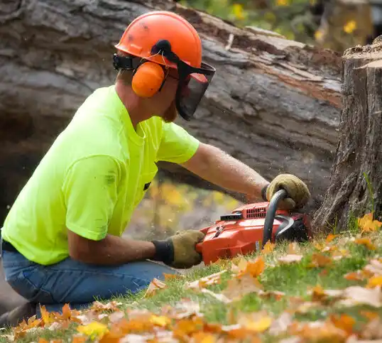 tree services Marble